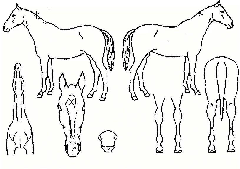 ���뼺�� ����,���,�޸�,�λ�,�ٸ��� Ư¡����
