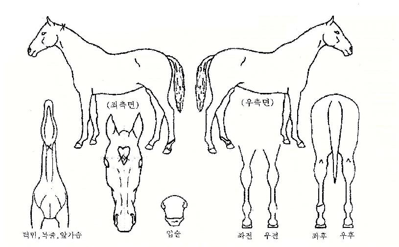 ���̺��� ����,���,�޸�,�λ�,�ٸ��� Ư¡����