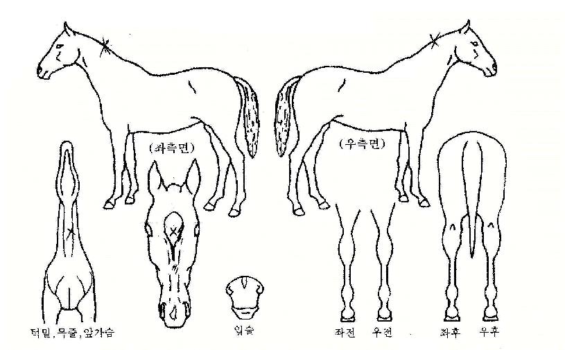 �̱�ť�� ����,���,�޸�,�λ�,�ٸ��� Ư¡����