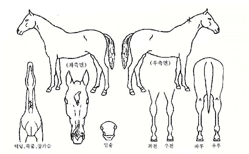 ���ڷ��� ����,���,�޸�,�λ�,�ٸ��� Ư¡����