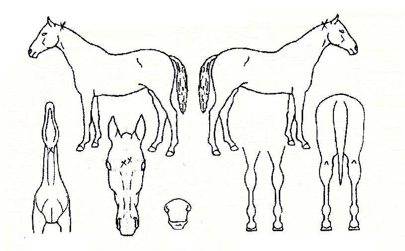 �帲����� ����,���,�޸�,�λ�,�ٸ��� Ư¡����