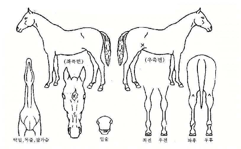 �ݺ������ ����,���,�޸�,�λ�,�ٸ��� Ư¡����