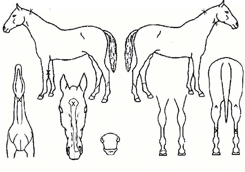 ���巯���� ����,���,�޸�,�λ�,�ٸ��� Ư¡����