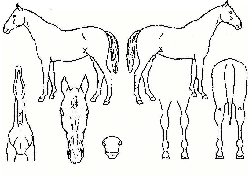 Ÿ����������ũ�� ����,���,�޸�,�λ�,�ٸ��� Ư¡����