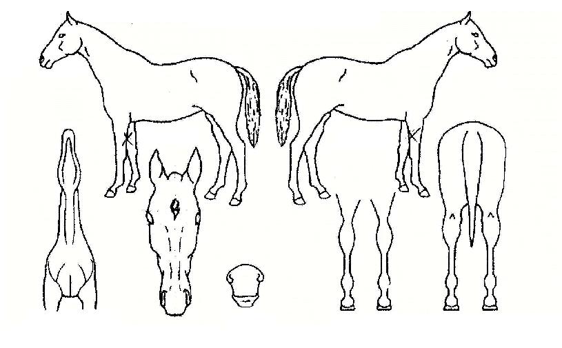 �ֿ������ ����,���,�޸�,�λ�,�ٸ��� Ư¡����