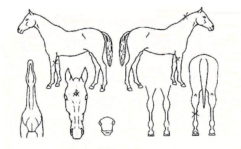 ����ĭ�� ����,���,�޸�,�λ�,�ٸ��� Ư¡����