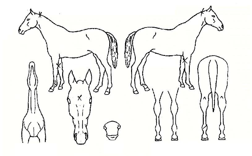 ����Ʈ������ ����,���,�޸�,�λ�,�ٸ��� Ư¡����