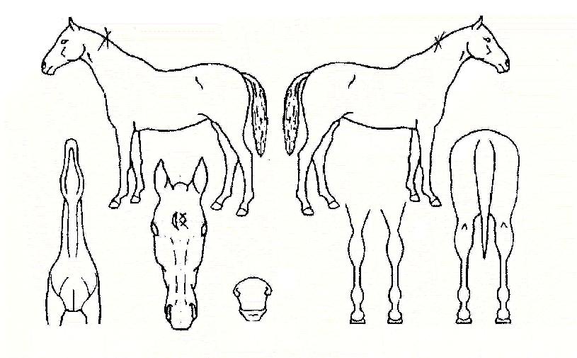 ���ʱ����� ����,���,�޸�,�λ�,�ٸ��� Ư¡����