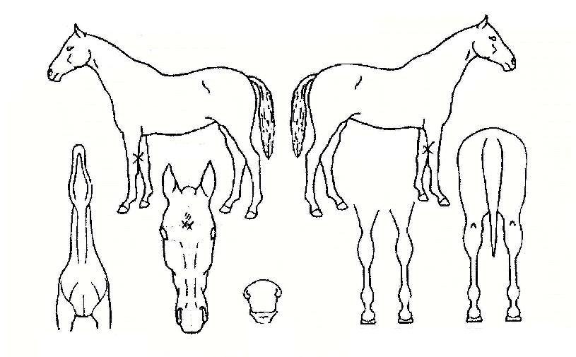 �ٴ��ͼ��� ����,���,�޸�,�λ�,�ٸ��� Ư¡����