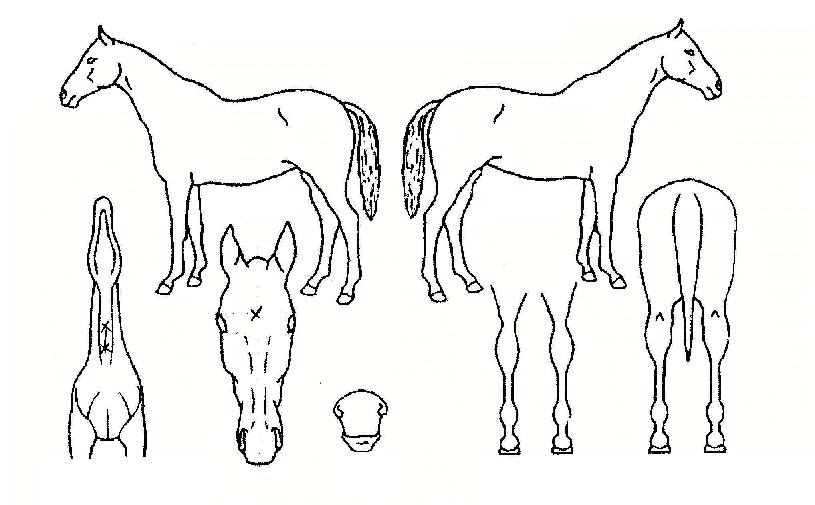 ������Դ��� ����,���,�޸�,�λ�,�ٸ��� Ư¡����