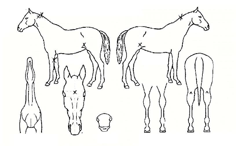 ���̴׾ַο��� ����,���,�޸�,�λ�,�ٸ��� Ư¡����