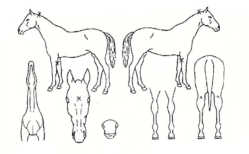 ����ڹ��ڸ��� ����,���,�޸�,�λ�,�ٸ��� Ư¡����