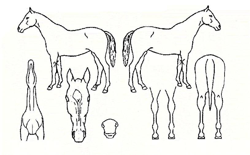 �ռ����� ����,���,�޸�,�λ�,�ٸ��� Ư¡����