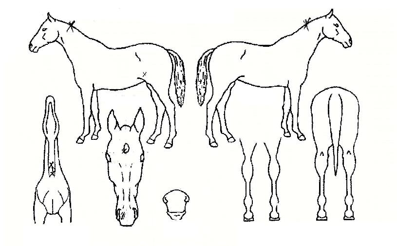 ���湫���� ����,���,�޸�,�λ�,�ٸ��� Ư¡����