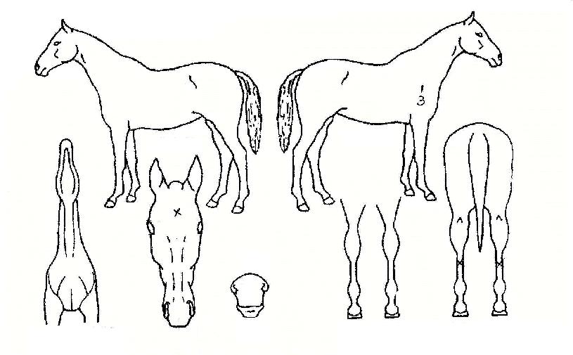 �Ŀ�Ǯ�������� ����,���,�޸�,�λ�,�ٸ��� Ư¡����