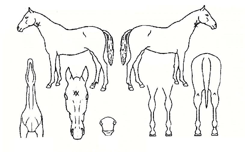 ���������� ����,���,�޸�,�λ�,�ٸ��� Ư¡����