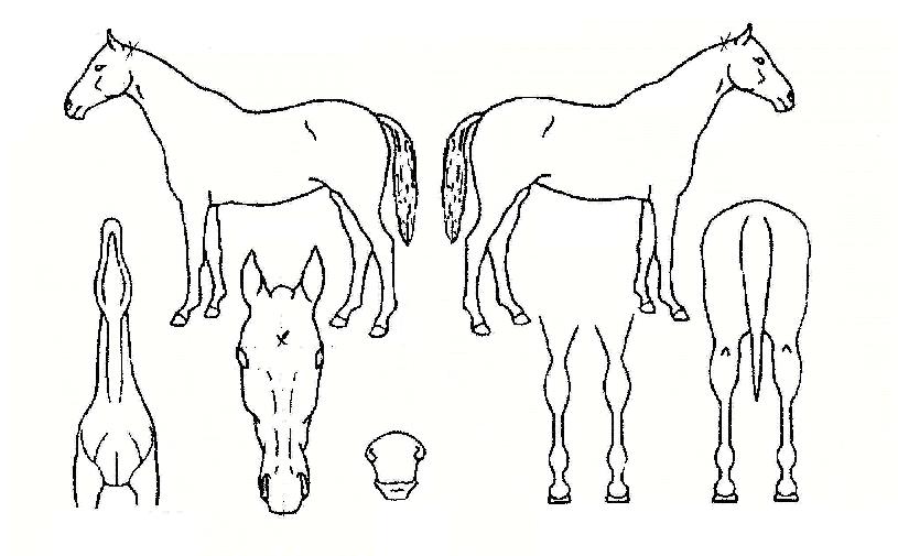 ���渶��ƾ�� ����,���,�޸�,�λ�,�ٸ��� Ư¡����