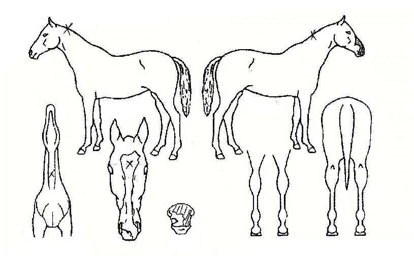 ���̺���Ƽ�� ����,���,�޸�,�λ�,�ٸ��� Ư¡����