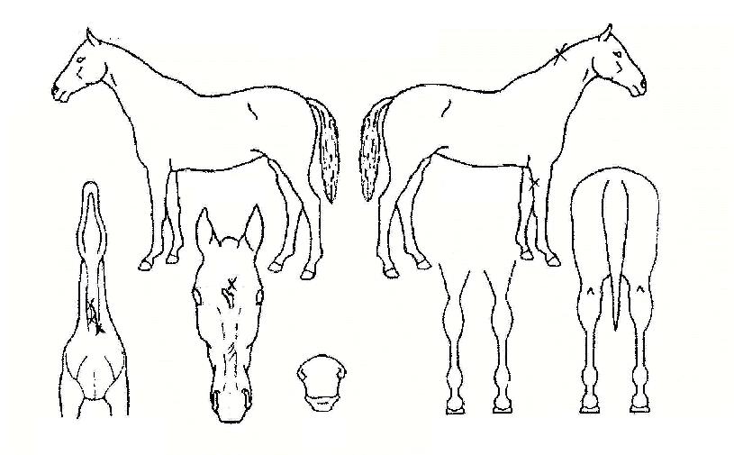 �ϴ��������� ����,���,�޸�,�λ�,�ٸ��� Ư¡����