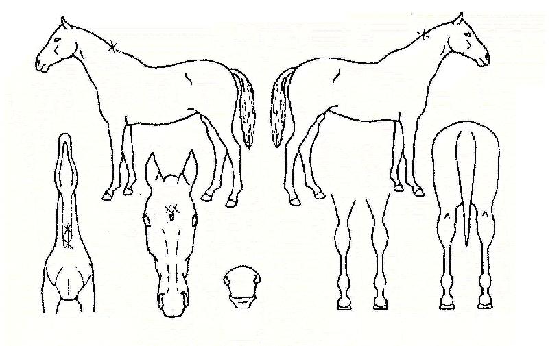 ť��Ÿ�� ����,���,�޸�,�λ�,�ٸ��� Ư¡����