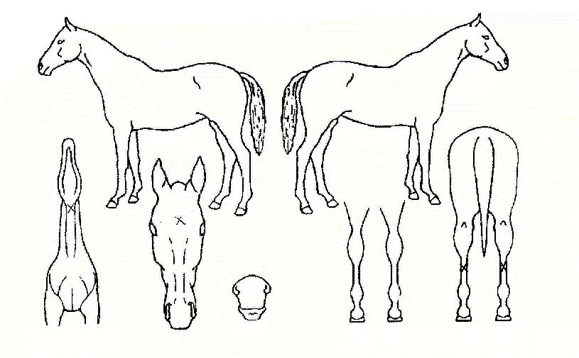 �������� ����,���,�޸�,�λ�,�ٸ��� Ư¡����