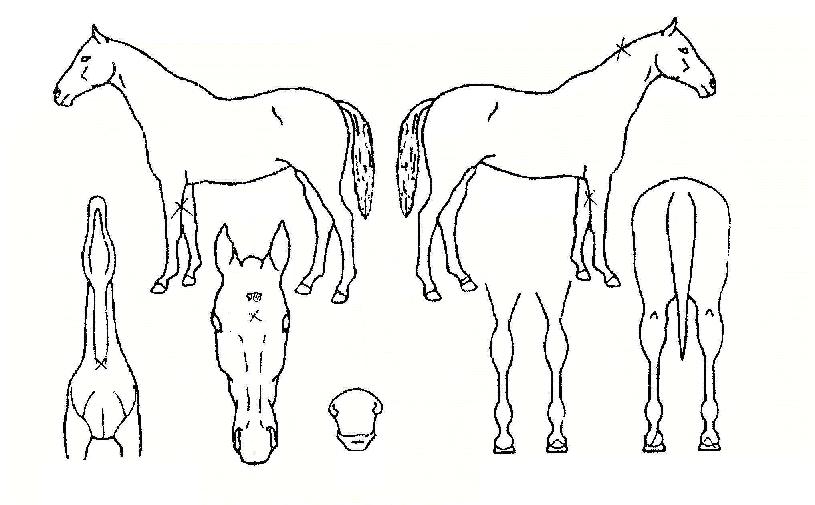 ��ŷ�� ����,���,�޸�,�λ�,�ٸ��� Ư¡����