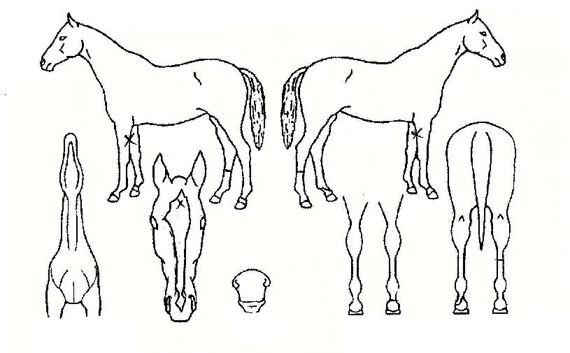 ���Ű���� ����,���,�޸�,�λ�,�ٸ��� Ư¡����