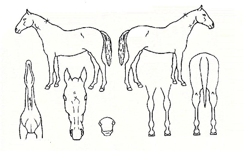 ������â�� ����,���,�޸�,�λ�,�ٸ��� Ư¡����