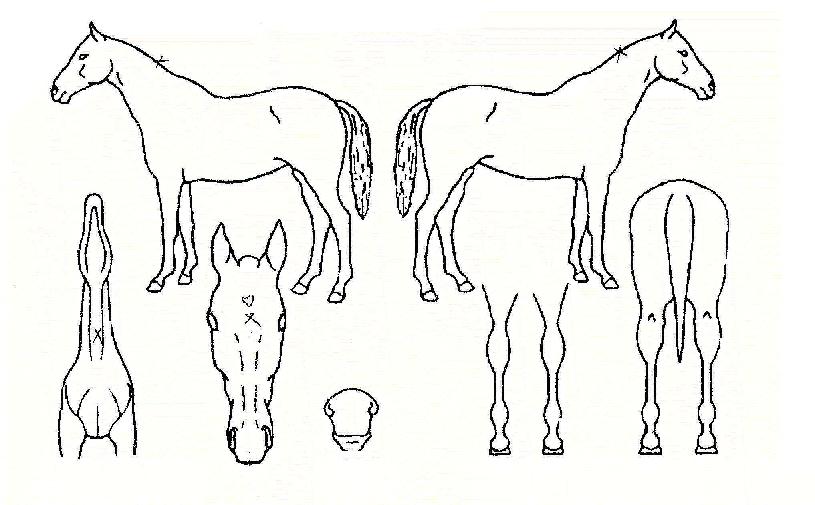 ��������â�� ����,���,�޸�,�λ�,�ٸ��� Ư¡����