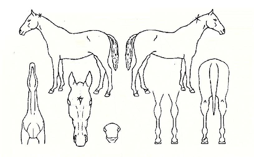 �����Ʈ������ ����,���,�޸�,�λ�,�ٸ��� Ư¡����