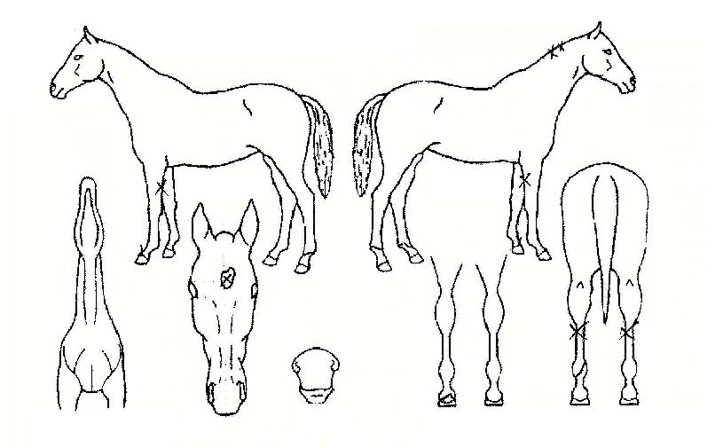 Áö»óÃÖ°íÀÇ Ãø¸é,¿ì¸é,µÞ¸é,µÎ»ó,´Ù¸®ÀÇ Æ¯Â¡µµÇØ