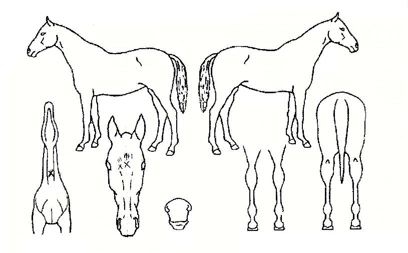 �������� ����,���,�޸�,�λ�,�ٸ��� Ư¡����