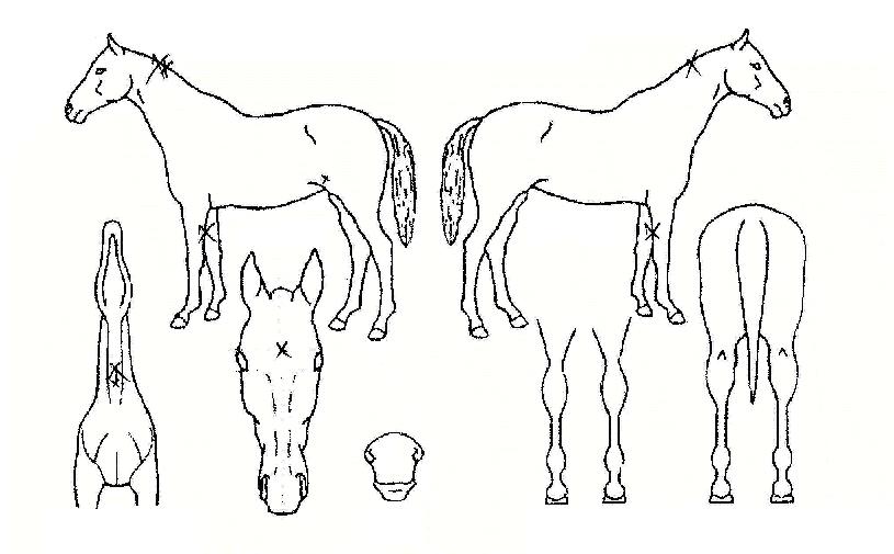 ���п����� ����,���,�޸�,�λ�,�ٸ��� Ư¡����