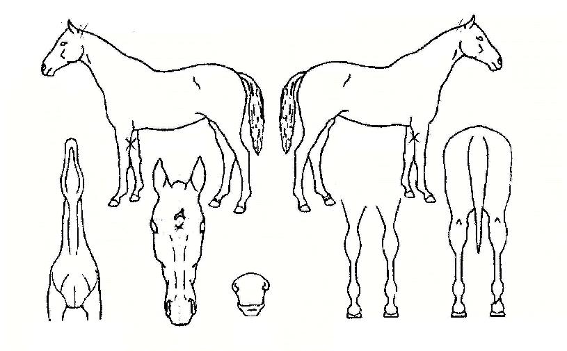 ī���;����� ����,���,�޸�,�λ�,�ٸ��� Ư¡����