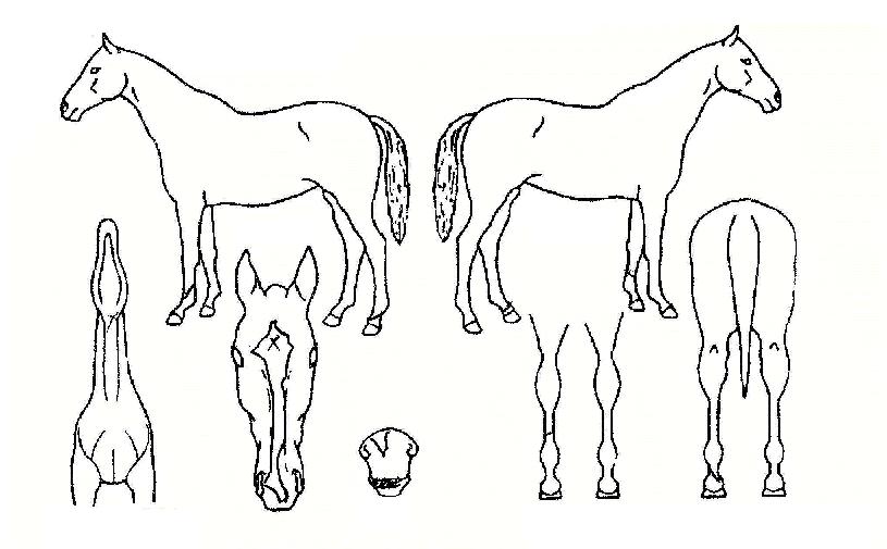 ��һ��� ����,���,�޸�,�λ�,�ٸ��� Ư¡����