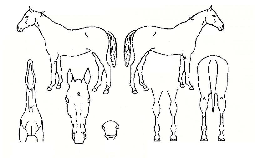 �ξ������� ����,���,�޸�,�λ�,�ٸ��� Ư¡����