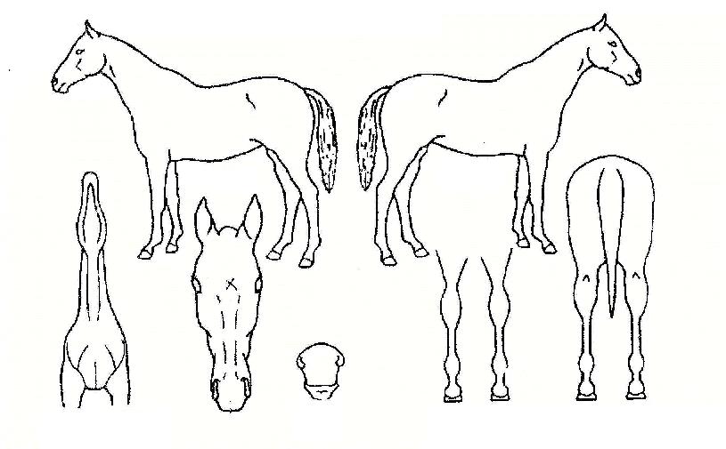 Ÿ�̰����� ����,���,�޸�,�λ�,�ٸ��� Ư¡����