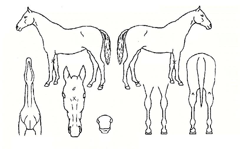 ��Ȱ��� ����,���,�޸�,�λ�,�ٸ��� Ư¡����