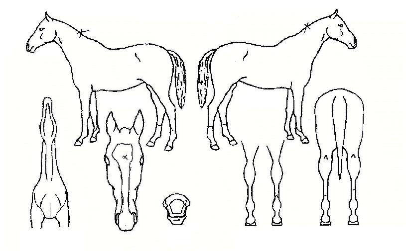 ó�������� ����,���,�޸�,�λ�,�ٸ��� Ư¡����