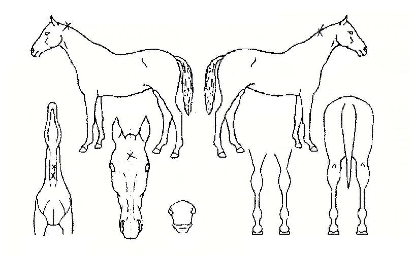 ���������� ����,���,�޸�,�λ�,�ٸ��� Ư¡����