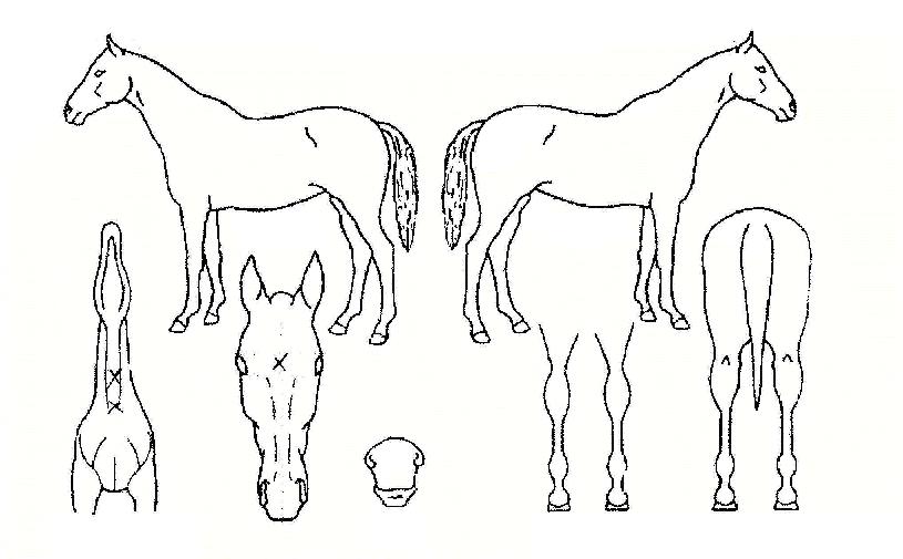 ��μ��� ����,���,�޸�,�λ�,�ٸ��� Ư¡����