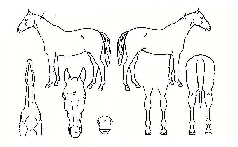 ���������̽��ڸ��� ����,���,�޸�,�λ�,�ٸ��� Ư¡����