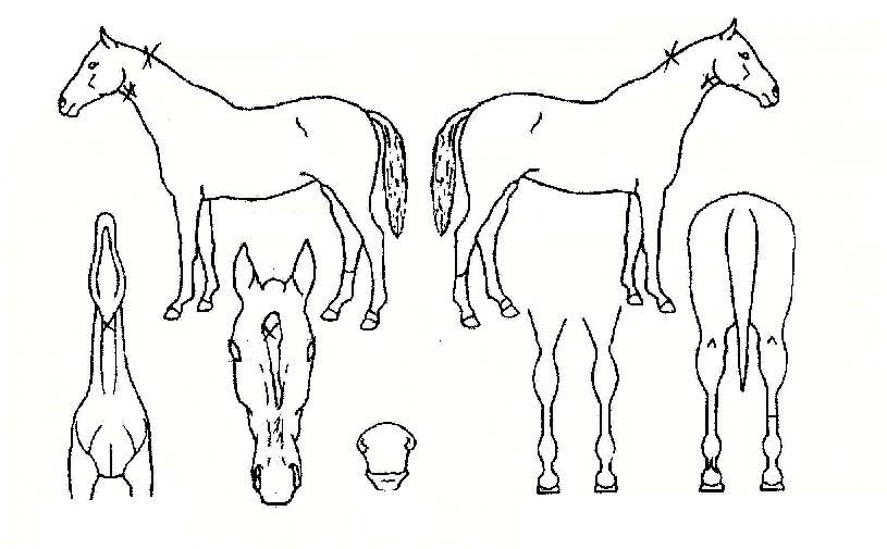 ����Ű���� ����,���,�޸�,�λ�,�ٸ��� Ư¡����