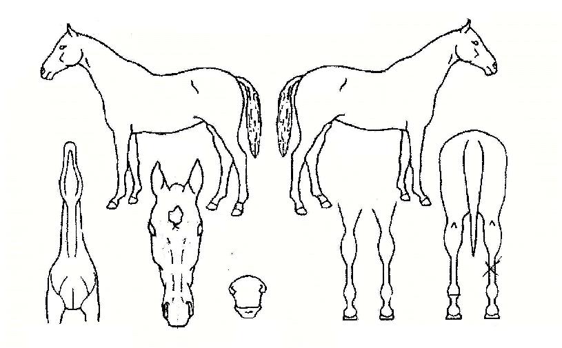 ³»ÀÏÀÇ¿µ±¤ÀÇ Ãø¸é,¿ì¸é,µÞ¸é,µÎ»ó,´Ù¸®ÀÇ Æ¯Â¡µµÇØ