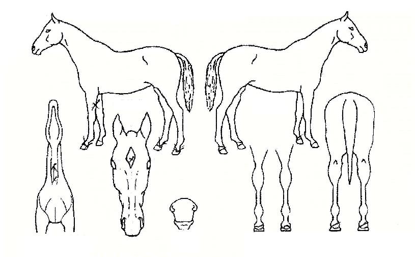 ������Ÿ�� ����,���,�޸�,�λ�,�ٸ��� Ư¡����