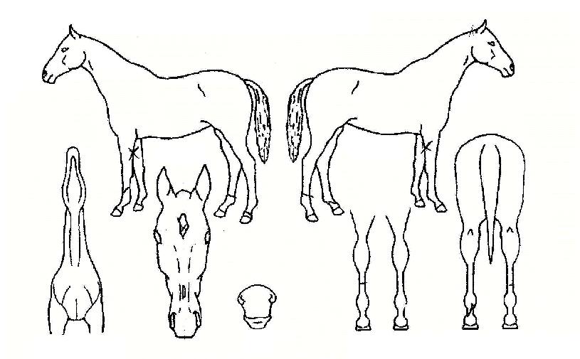 ���ϼ����� ����,���,�޸�,�λ�,�ٸ��� Ư¡����