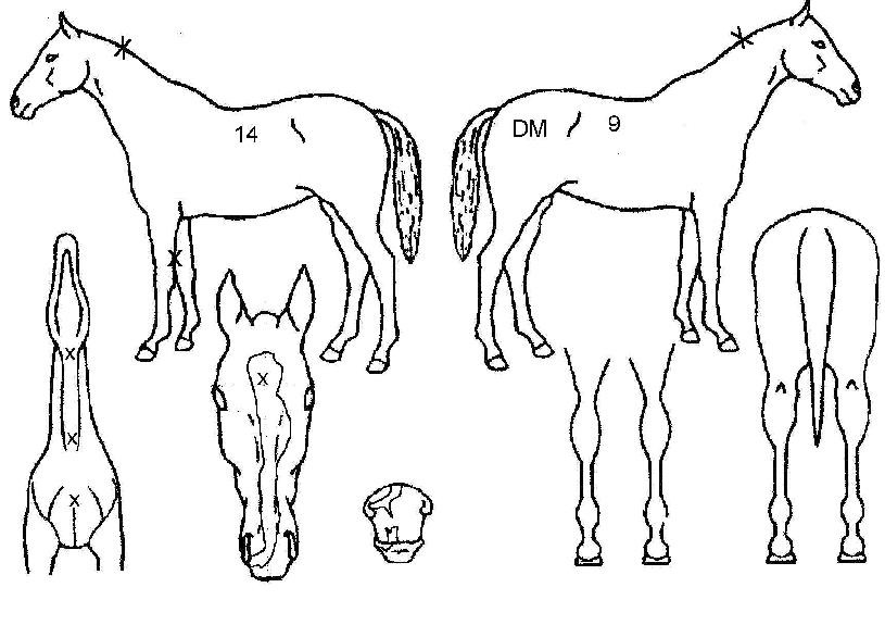 ����Ÿ���� ����,���,�޸�,�λ�,�ٸ��� Ư¡����