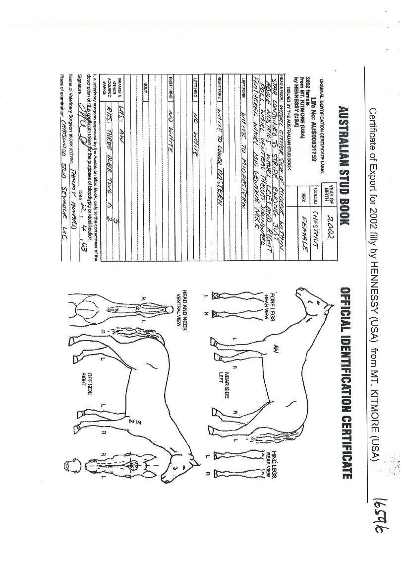 ÇØÂù¼ÖÀÇ Ãø¸é,¿ì¸é,µÞ¸é,µÎ»ó,´Ù¸®ÀÇ Æ¯Â¡µµÇØ