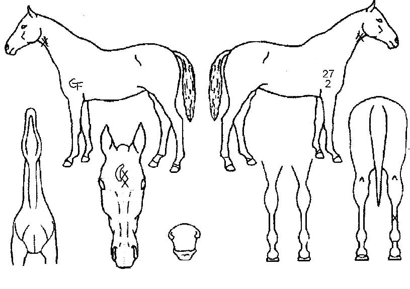 ±¸·æÆøÆ÷ÀÇ Ãø¸é,¿ì¸é,µÞ¸é,µÎ»ó,´Ù¸®ÀÇ Æ¯Â¡µµÇØ