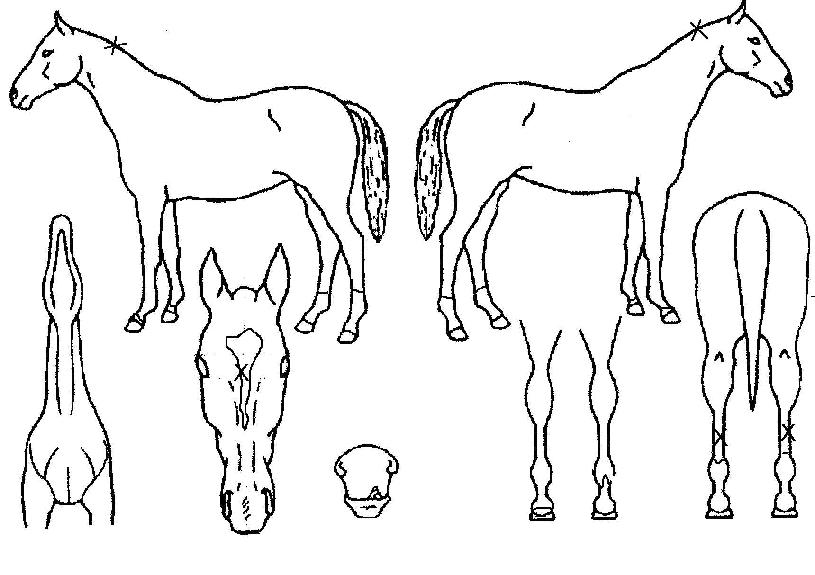 �����̽��� ����,���,�޸�,�λ�,�ٸ��� Ư¡����